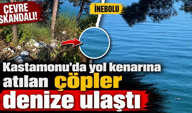 Kastamonu'da yol kenarına atılan çöpler denize ulaştı