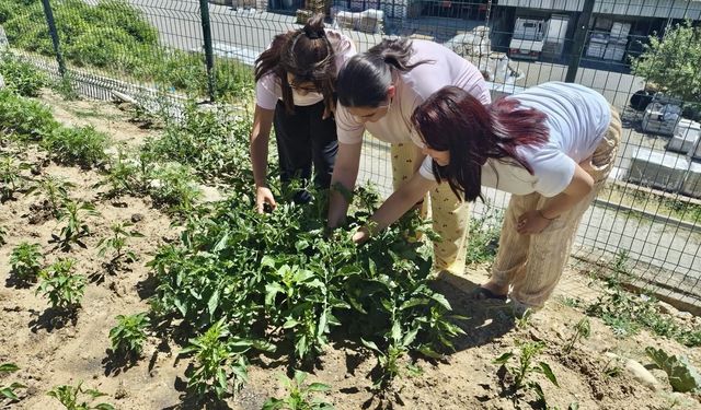 Kastamonu'da çocukların emeği berekete dönüştü