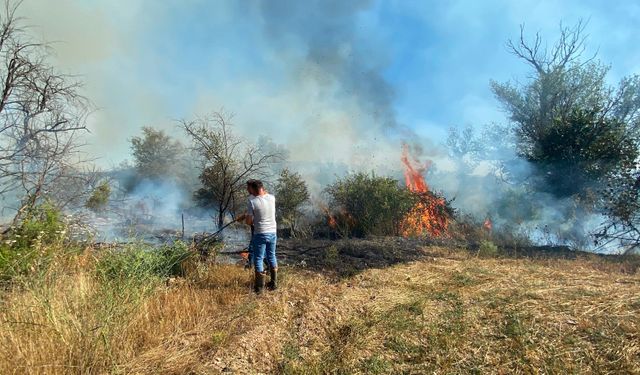 Örtü yangını ağaçlık alana sıçradı