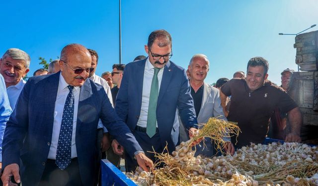 Sarımsak pazarı kapılarını açtı