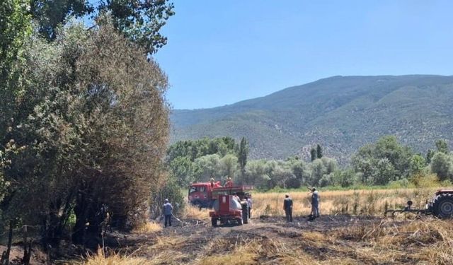 Tosya'da ekili arazide yangın çıktı