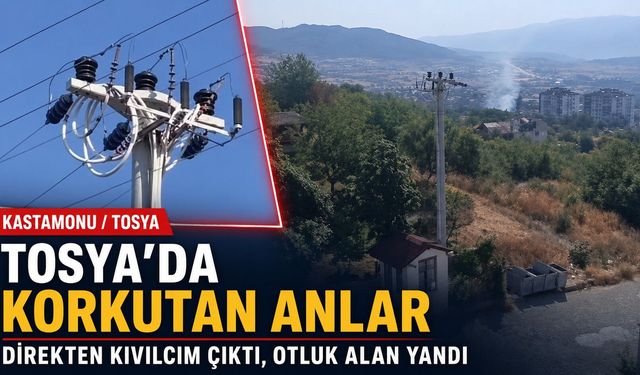 Tosya’da elektrik direğinden kıvılcımlar çıktı, otluk alan yandı