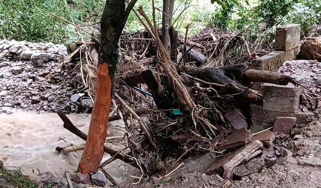 Cideli muhtar isyan etti: "Unutulduk"