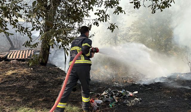 Kastamonu'da çıkan örtü yangını bahçelere sıçradı