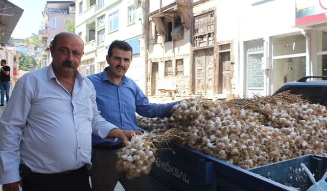 Kastamonu pazarında dikkat çeken fiyat: Soğan ile sarımsak yarışıyor!