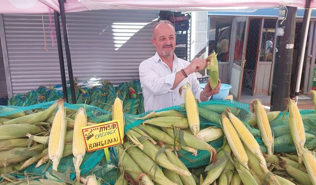 Kastamonu pazarında süt mısır bereketi: 6 tanesi 100 lira!