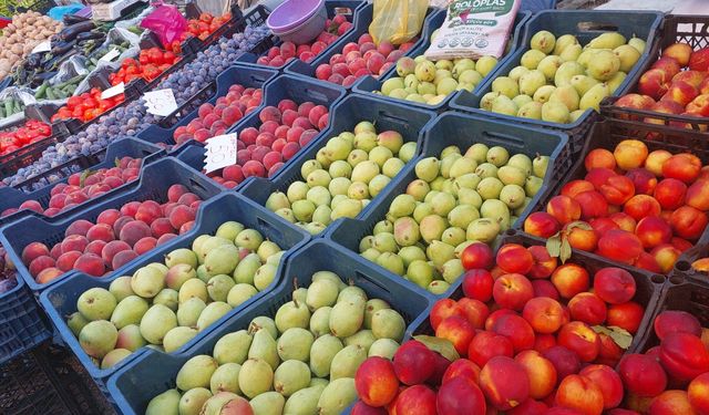 Kastamonu Salı Pazarı’ndaki bolluk fiyatlara yansıdı