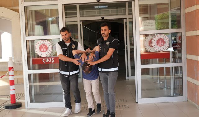 Kastamonu'da evini zehir serasına çeviren şahıs tutuklandı