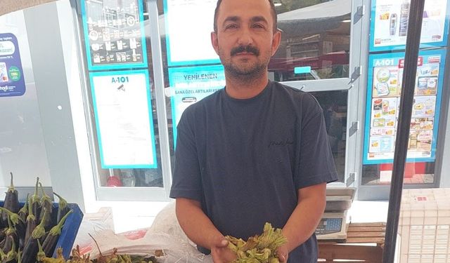 Pazarda fındık ve biber bolluğu: Fiyatlar düştü, vatandaşın yüzü güldü
