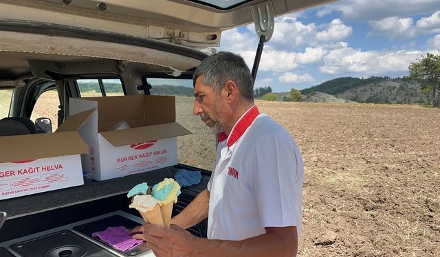 Kastamonu'da dondurmacı sıcak havada terleyen çiftçileri serinletiyor