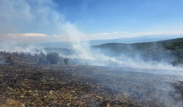 Kastamonu'da çıkan orman yangını kontrol altında!