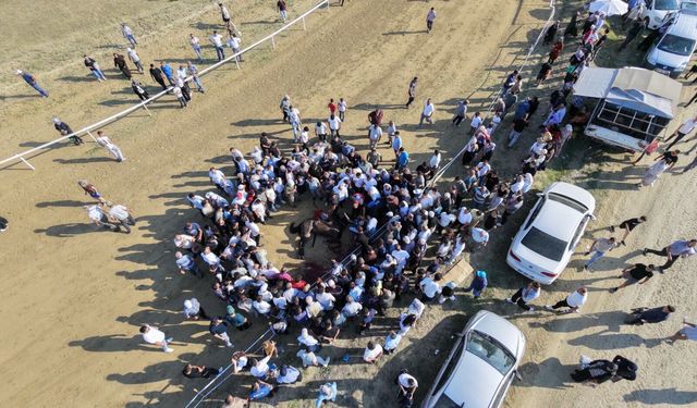 Taşköprü festivali yarışlarında iki at çarpışarak telef oldu