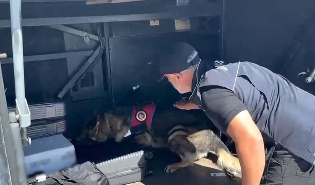 Kastamonu dahil 28 ilde zehir tacirleri yakalandı