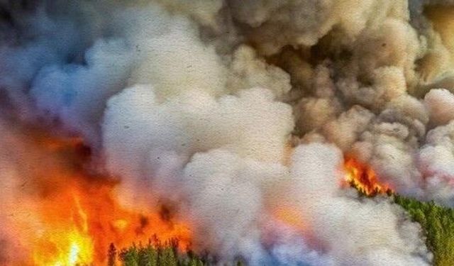 Kastamonu Üniversitesi’nden yangın riskine bilimsel mercek