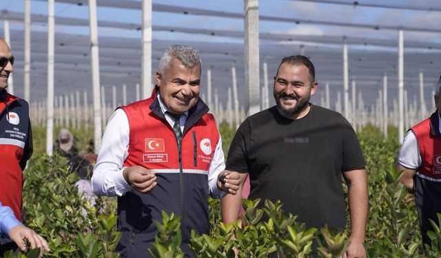 Alternatif tarımda Kastamonu'nun aronya başarısı
