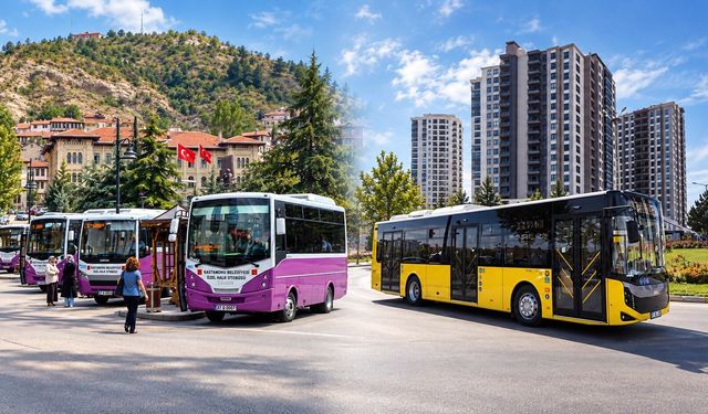 Kastamonu dolmuş hatları ve güzergahları