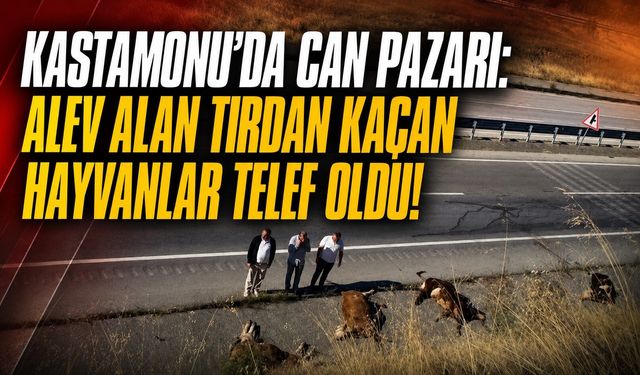 Kastamonu'da can pazarı: Hayvanlar telef oldu, 2 yaralı!