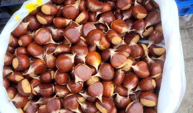 Kestane pazarlarda yerini aldı, fiyatını duyanlar şaşırdı