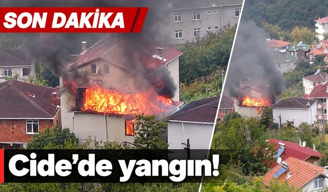 Cide'de yangın