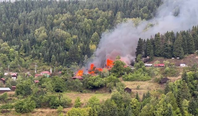 Kastamonu'da köy evinde çıkan yangın 8 eve daha sıçradı
