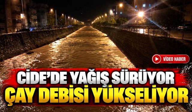 Cide’de yağış sürüyor, çay debisi yükseliyor