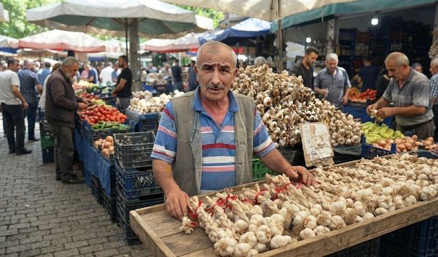 Samsun'dan Kastamonu’ya sarımsak resti:“5 çeker”