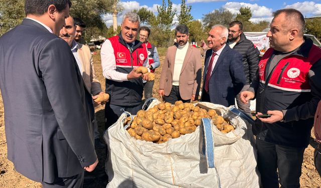 Kastamonu’da patates hasat günü düzenlendi