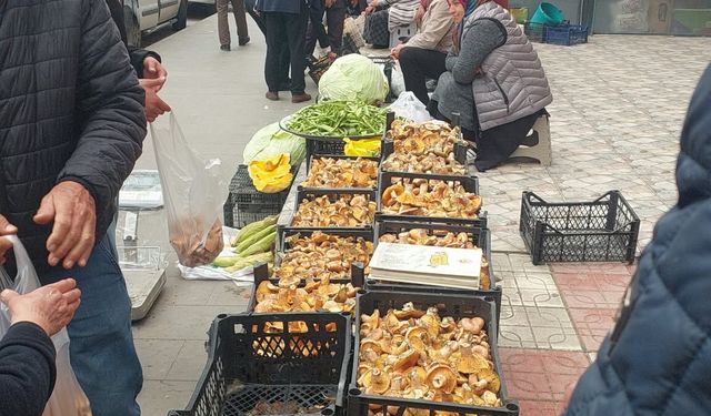 Kastamonu pazarlarında kanlıca bereketi