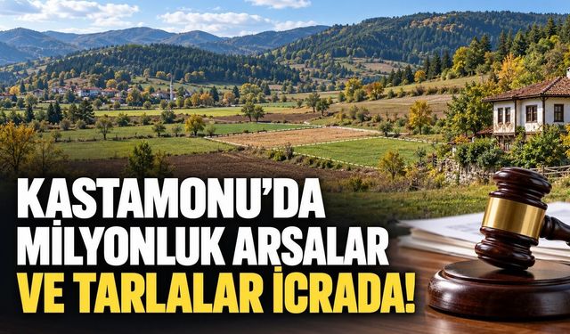 Kastamonu'da milyonluk arsalar ve tarlalar icrada!