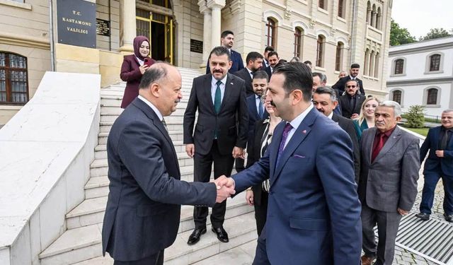 MHP Kastamonu'dan Vali Dallı’ya ziyaret