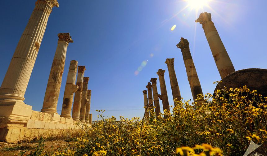 Pompeiopolis Antik Kenti ismini dünyaya film festivaliyle duyuracak