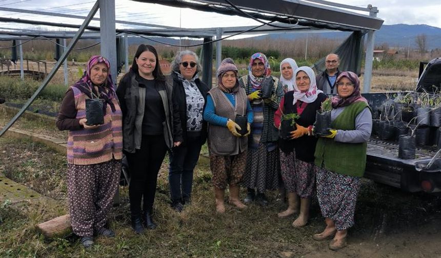 Fidanlar ehline emanet