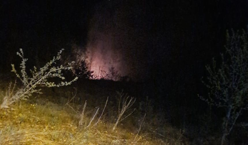 Kastamonu'da bir orman yangını daha!