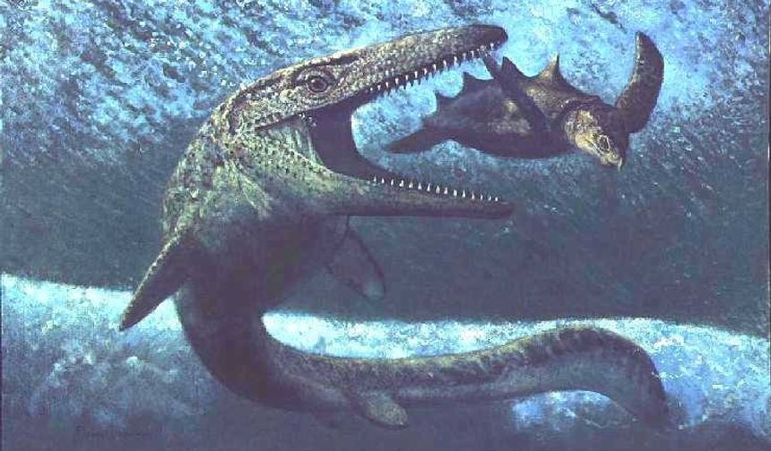 Denizlerin dinozorunun Kastamonu’da bulunduğunu biliyor muydunuz?