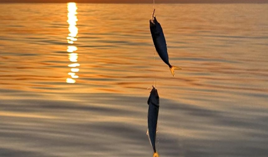 Küçük ölçekli balıkçılık destekleri için başvurular başladı