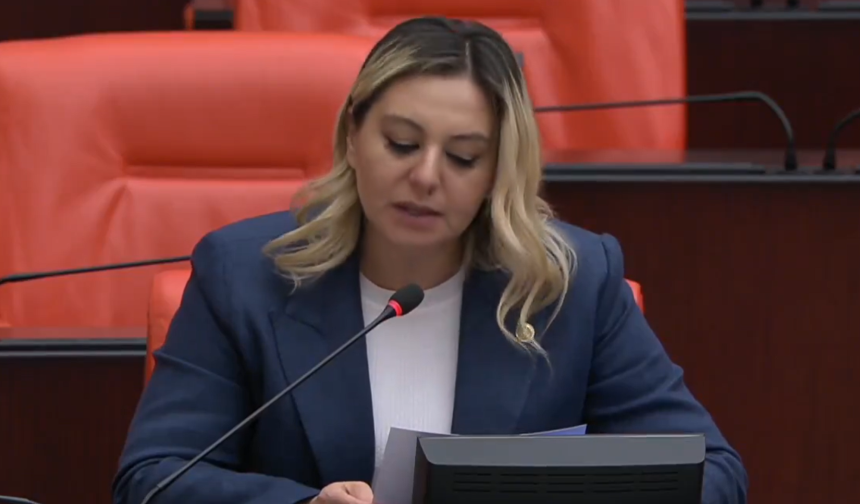 Milletvekili Ekmekci’nin anne acısı!
