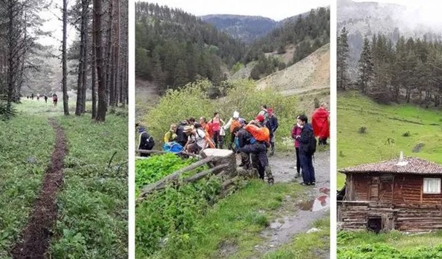 Kastamonu'da doğa ile içiçe bir yolculuk vadediyorlar!