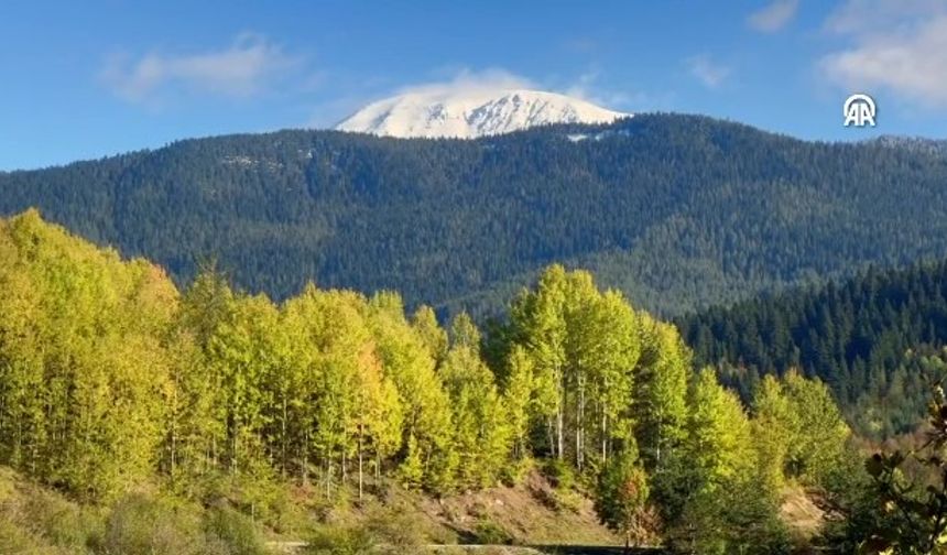 "Anadolu'nun yüce dağı" Ilgaz'da iki mevsim aynı anda yaşanıyor