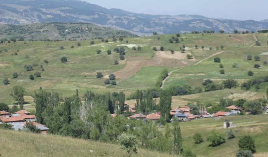 Tosya'da cenaze namazı sırasında yangın çıktı