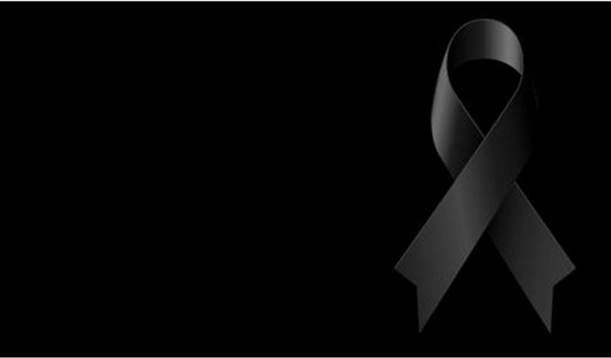 Cide’de Elmas Huy Hakk'a yürüdü