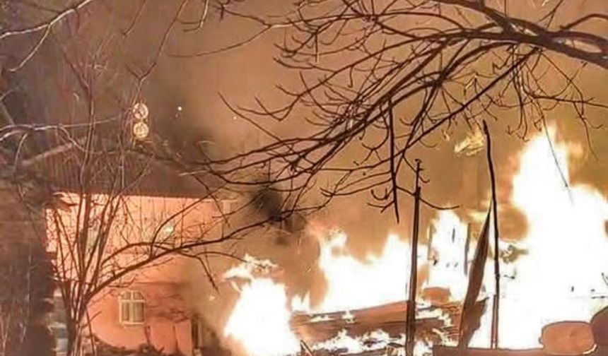 Kastamonu'da alevler evi sardı: Hayvanlar telef oldu!