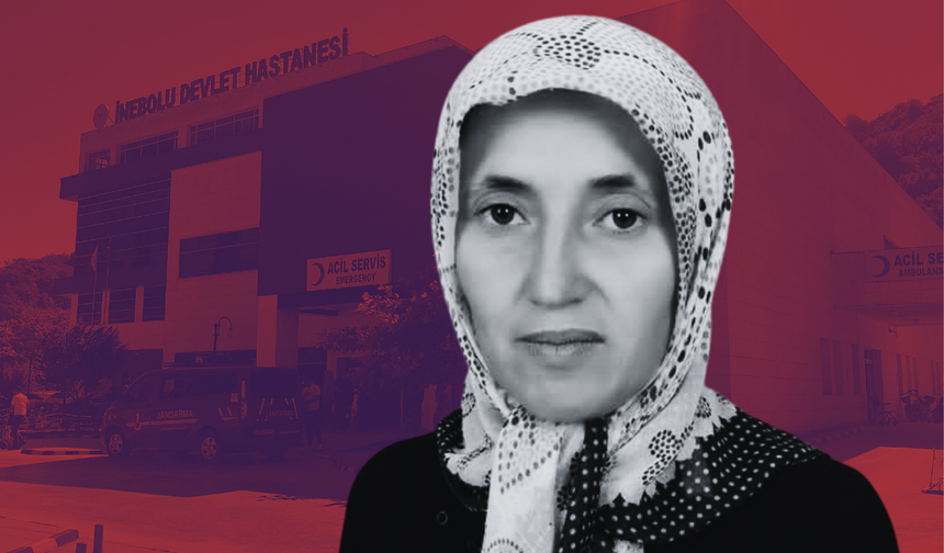 Kastamonu'da üzüm yaprağı toplarken düştü, hayatını kaybetti