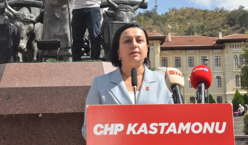 CHP il başkanlarından “Ara seçim çağrısı”