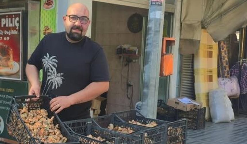 Kastamonu’da tezgahlara bir günde 1 ton kanlıca mantarı geldi