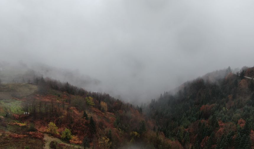Kastamonu Yaralıgöz geçidinde göz gözü görmüyor
