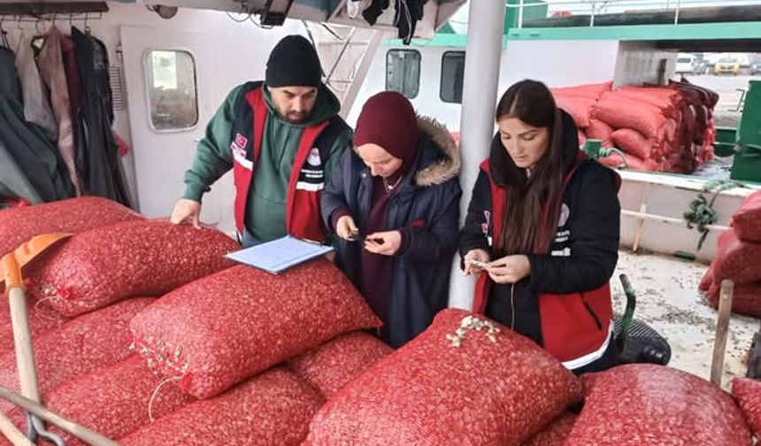 İnebolu'da balıkçı barınakları denetlendi