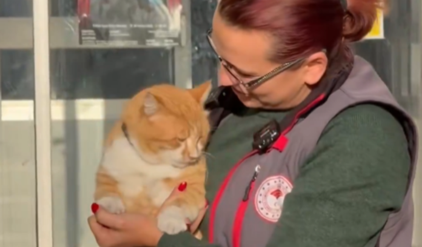 Bartın’da kayboldu, aylar sonra Kastamonu’da ortaya çıktı