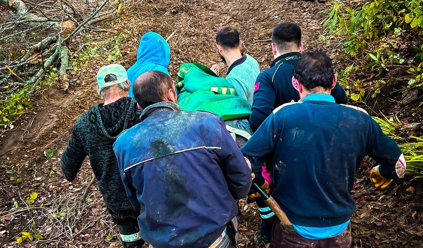 Cide’de tomruk altında kalan vatandaş kurtarıldı