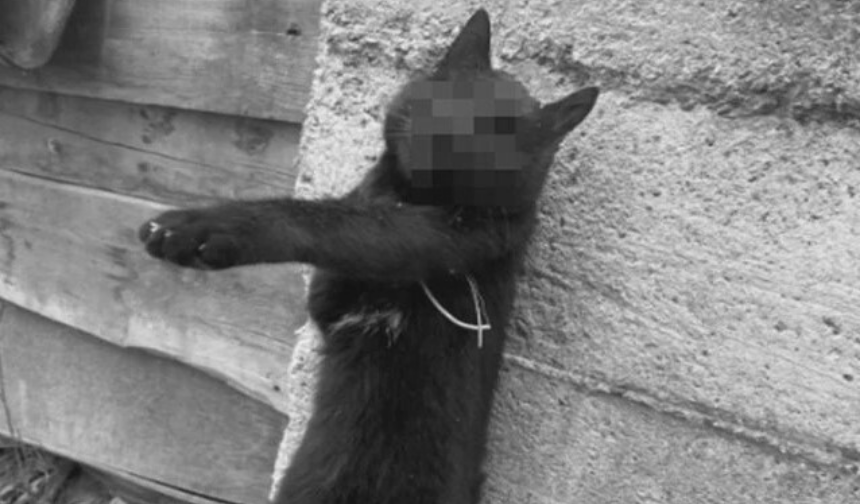 Kastamonu’da kan donduran manzara!