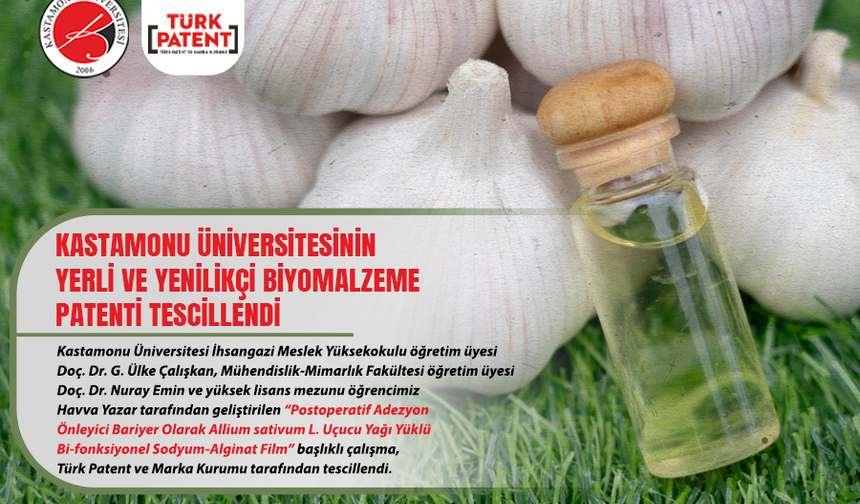 Kastamonu’nun sarımsağı bilime ilham oldu